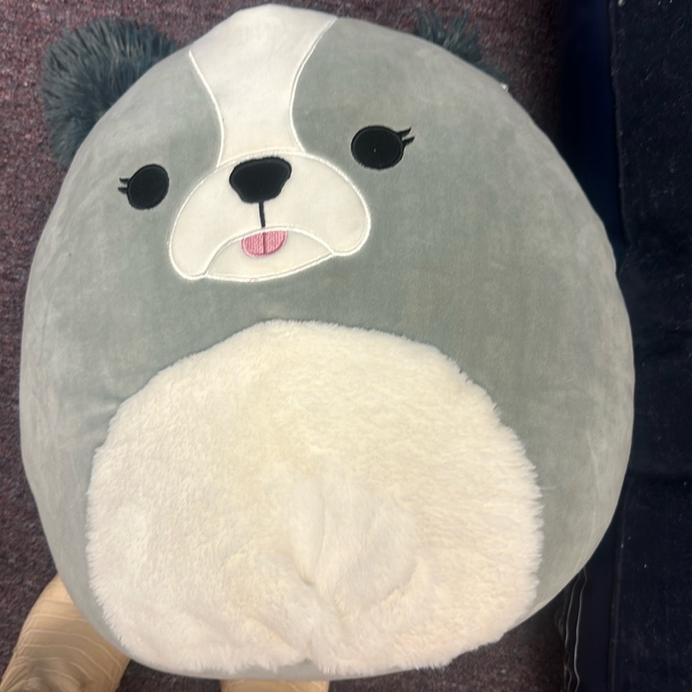 Bug dog squishmellows